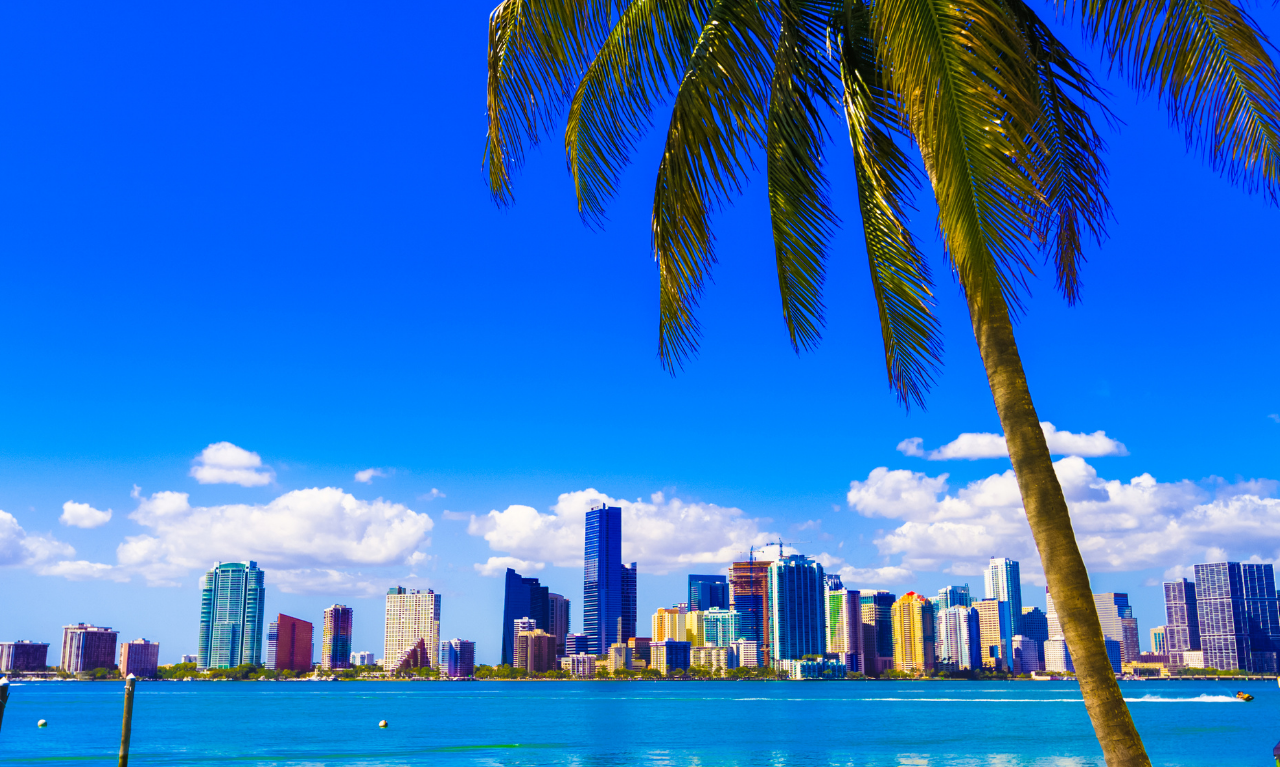 English School in Miami Florida | Antares